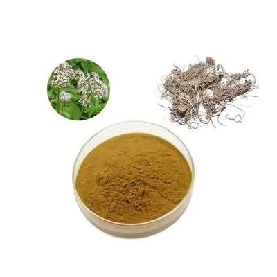 How Long Does It Take for Valerian Extract Powder to Work?
